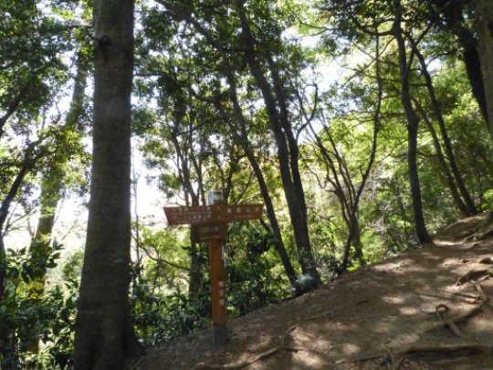 画像13